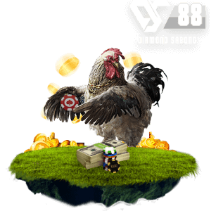 SPORTS-DS88